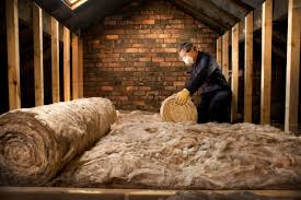 Best Blown-In Insulation  in Pecan Plantation, TX