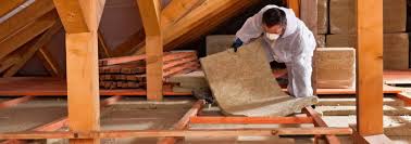 Eco-Friendly or Green Insulation Solutions in Pecan Plantation, TX